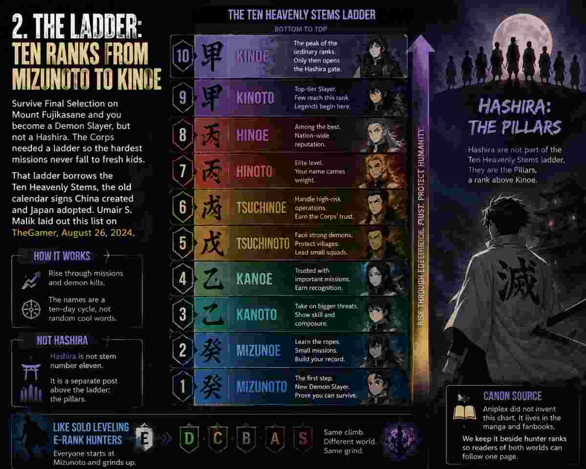 Demon Slayer Hashira Ranking of nine pillars from Shinobu to Gyomei
